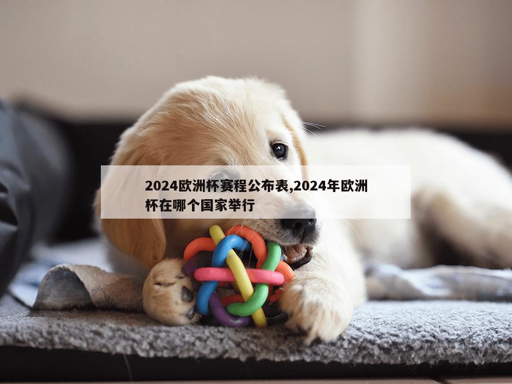 2024欧洲杯赛程公布表,2024年欧洲杯在哪个国家举行