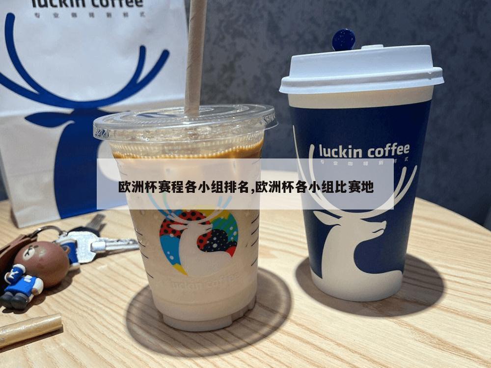 欧洲杯赛程各小组排名,欧洲杯各小组比赛地