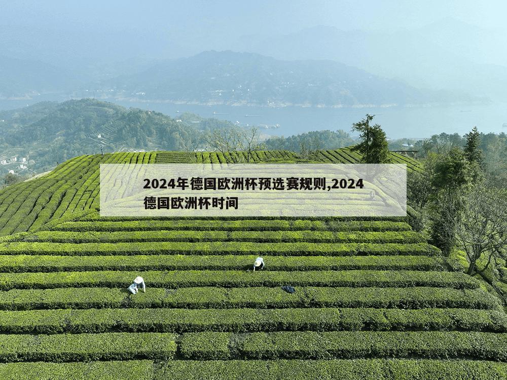 2024年德国欧洲杯预选赛规则,2024德国欧洲杯时间