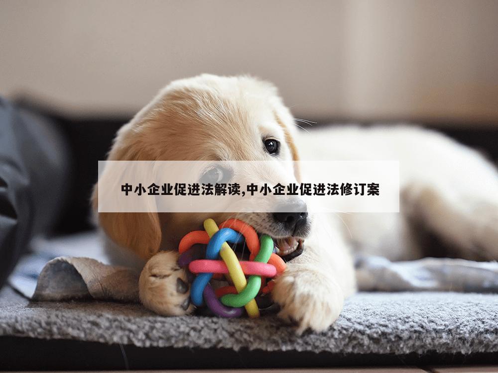 中小企业促进法解读,中小企业促进法修订案