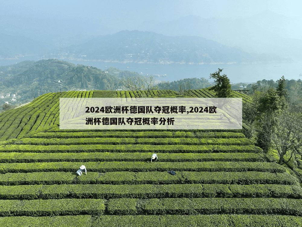 2024欧洲杯德国队夺冠概率,2024欧洲杯德国队夺冠概率分析