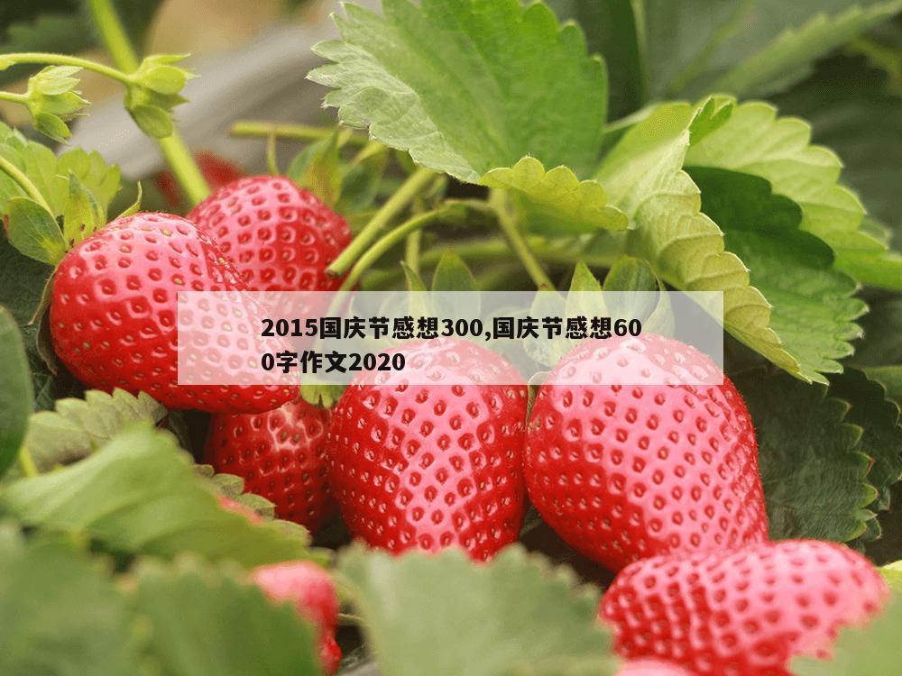 2015国庆节感想300,国庆节感想600字作文2020