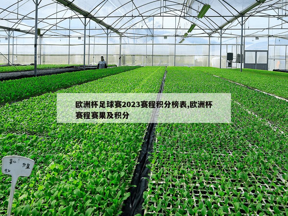 欧洲杯足球赛2023赛程积分榜表,欧洲杯赛程赛果及积分