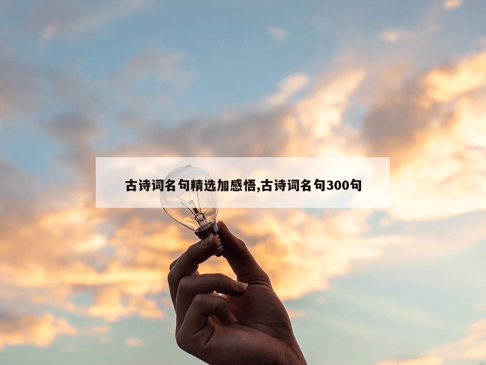 古诗词名句精选加感悟,古诗词名句300句