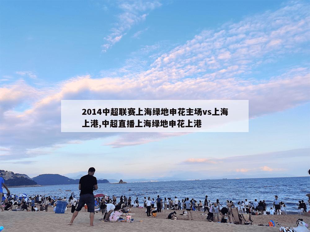 2014中超联赛上海绿地申花主场vs上海上港,中超直播上海绿地申花上港